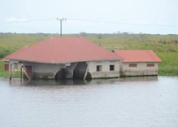 Government warns of flooding as Lake Victoria water levels rise