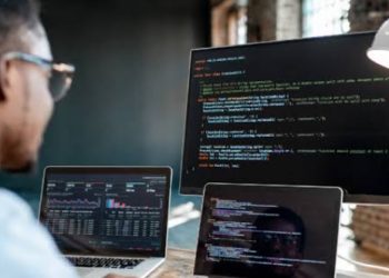 Invest more in software development –experts urge government