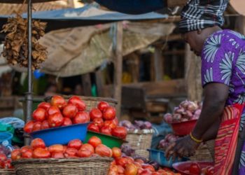 Support SMEs to boost economic growth 