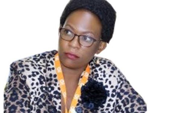 MPs urged to ensure new taxes don’t affect businesses
