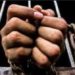 Three arrested for refusing to be enumerated in Kikuube