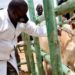 Three million FMD vaccine doses arrive from Egypt today