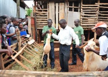 NMG-U rolls out 36th Seeds of Gold edition activities