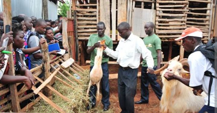NMG-U rolls out 36th Seeds of Gold edition activities