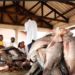 Fishermen urged to adjust to new fishing guidelines