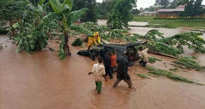 Government urged to allocate adequate resources for disaster preparedness