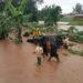 Government urged to allocate adequate resources for disaster preparedness