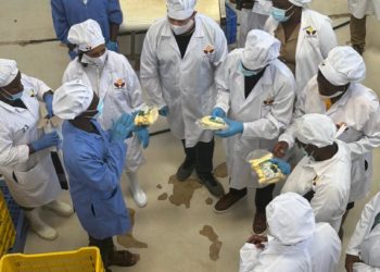 Uganda urged to empower young innovators