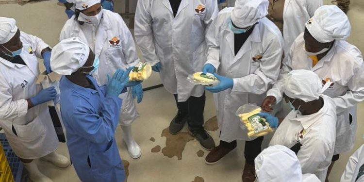 Uganda urged to empower young innovators