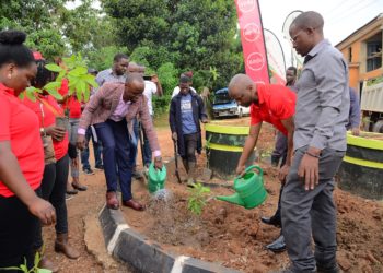 KCCA, private sector to plant indigenous trees  