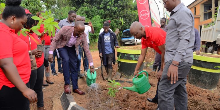 KCCA, private sector to plant indigenous trees  