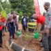 KCCA, private sector to plant indigenous trees  