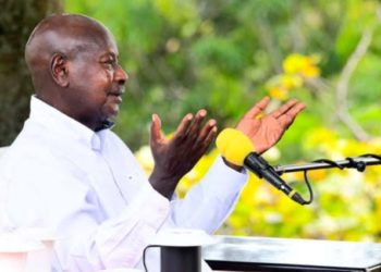 President Museveni to release preliminary census results on Thursday.