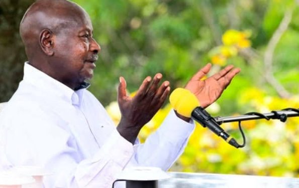 President Museveni to release preliminary census results on Thursday.