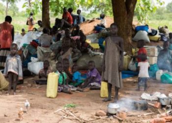 Donor community urged to increase refugee support towards Self-Reliance Model