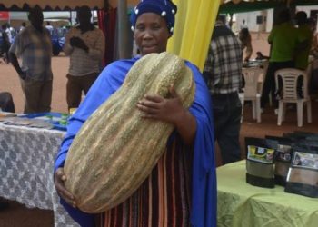 The 2024 national agricultural show officially opens today