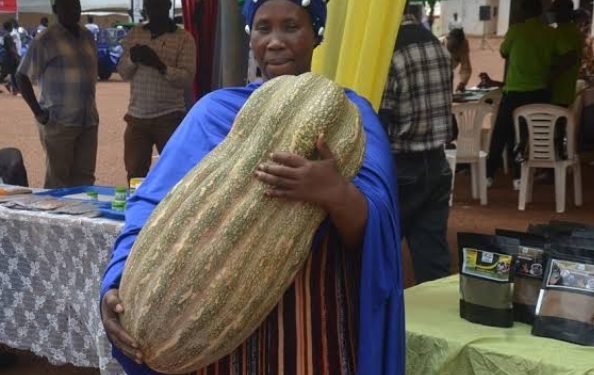The 2024 national agricultural show officially opens today