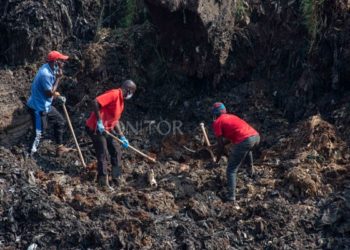 Government urged to invest in sustainable waste management practices