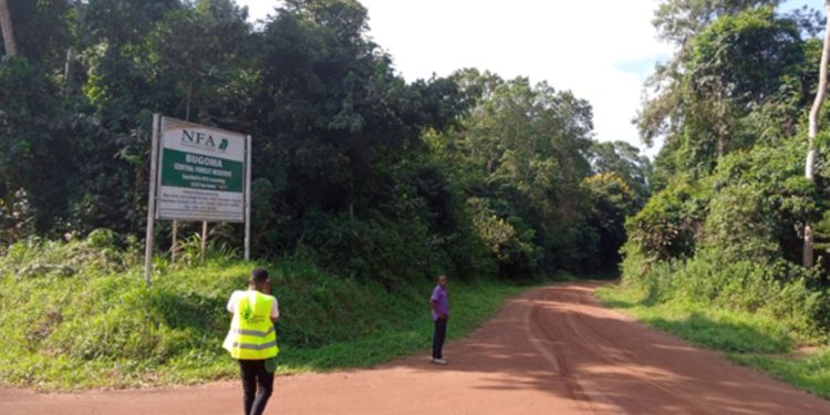 CSOs withdraw Bugoma forest court case