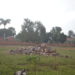 Jinja hospital authorities threaten to confiscate UMSC property over Shs400m debt