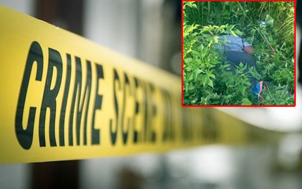 Fuel station boss killed on Northern Bypass while jogging