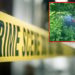 Fuel station boss killed on Northern Bypass while jogging