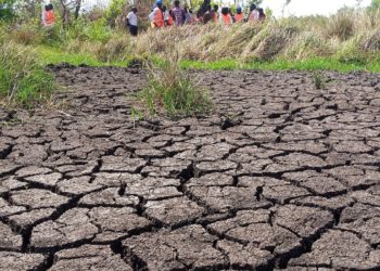 NMG introduces special desk for climate change