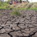 NMG introduces special desk for climate change