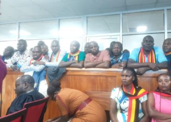 FDC members accused of terrorism released on bail