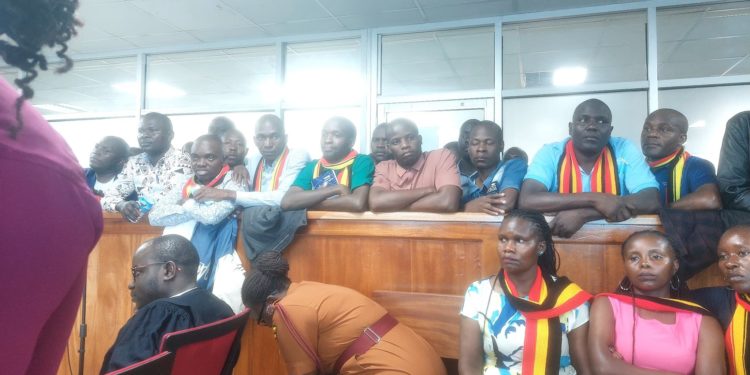 FDC members accused of terrorism released on bail