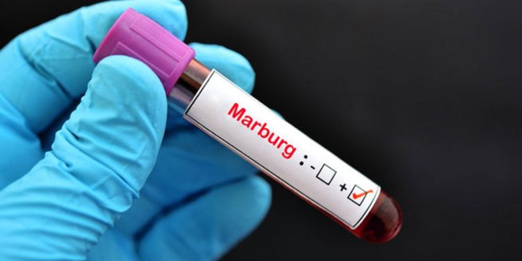 Rwanda begins Marburg vaccinations to curb deadly outbreak