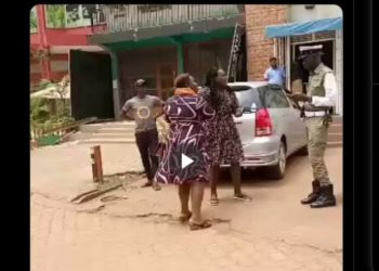 Woman in viral video slapping traffic officer remanded