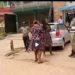 Woman in viral video slapping traffic officer remanded
