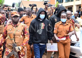 Musician Alien Skin granted bail