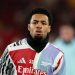Arsenal’s Nwaneri out for weeks with muscle injury